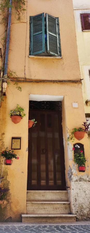 Affitto Turistico - La Terrazzina Apartment Monterotondo  Bagian luar foto